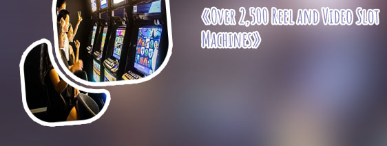 Best slot machines to play online