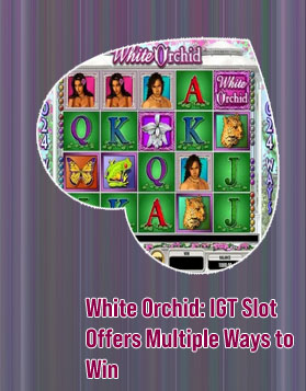 Wild orchid slot machine